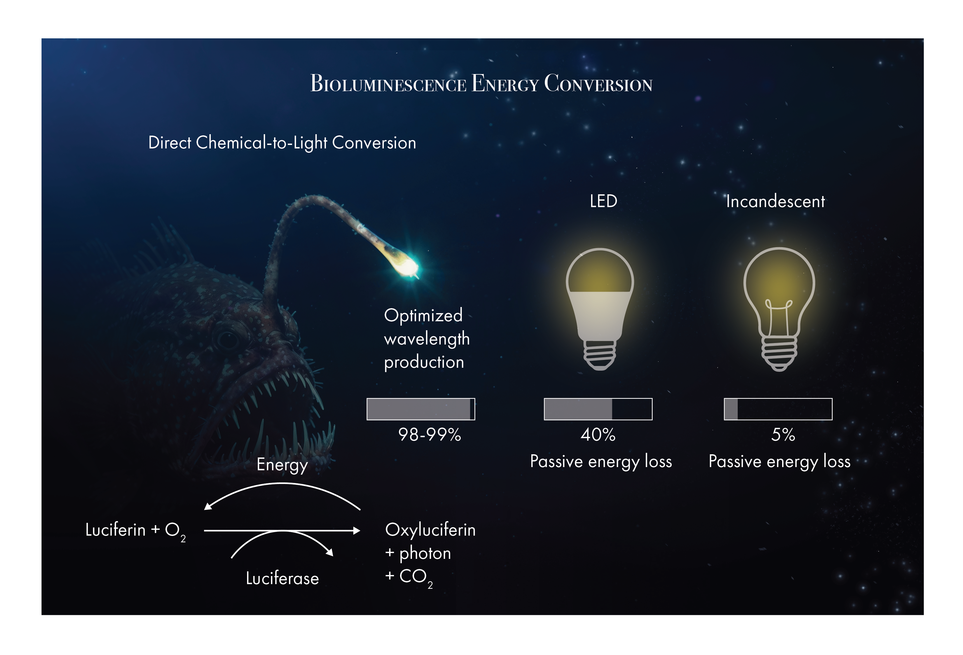 Energy Efficiency