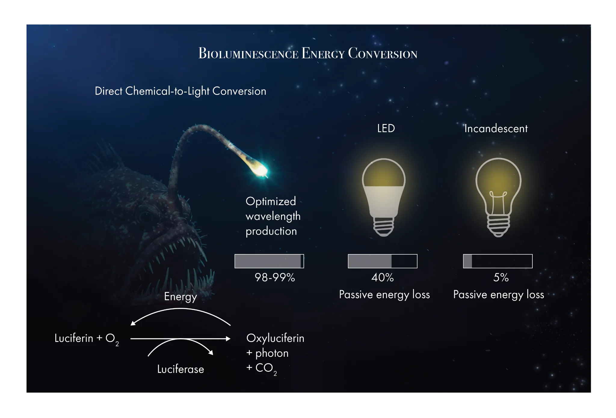 Energy Efficiency