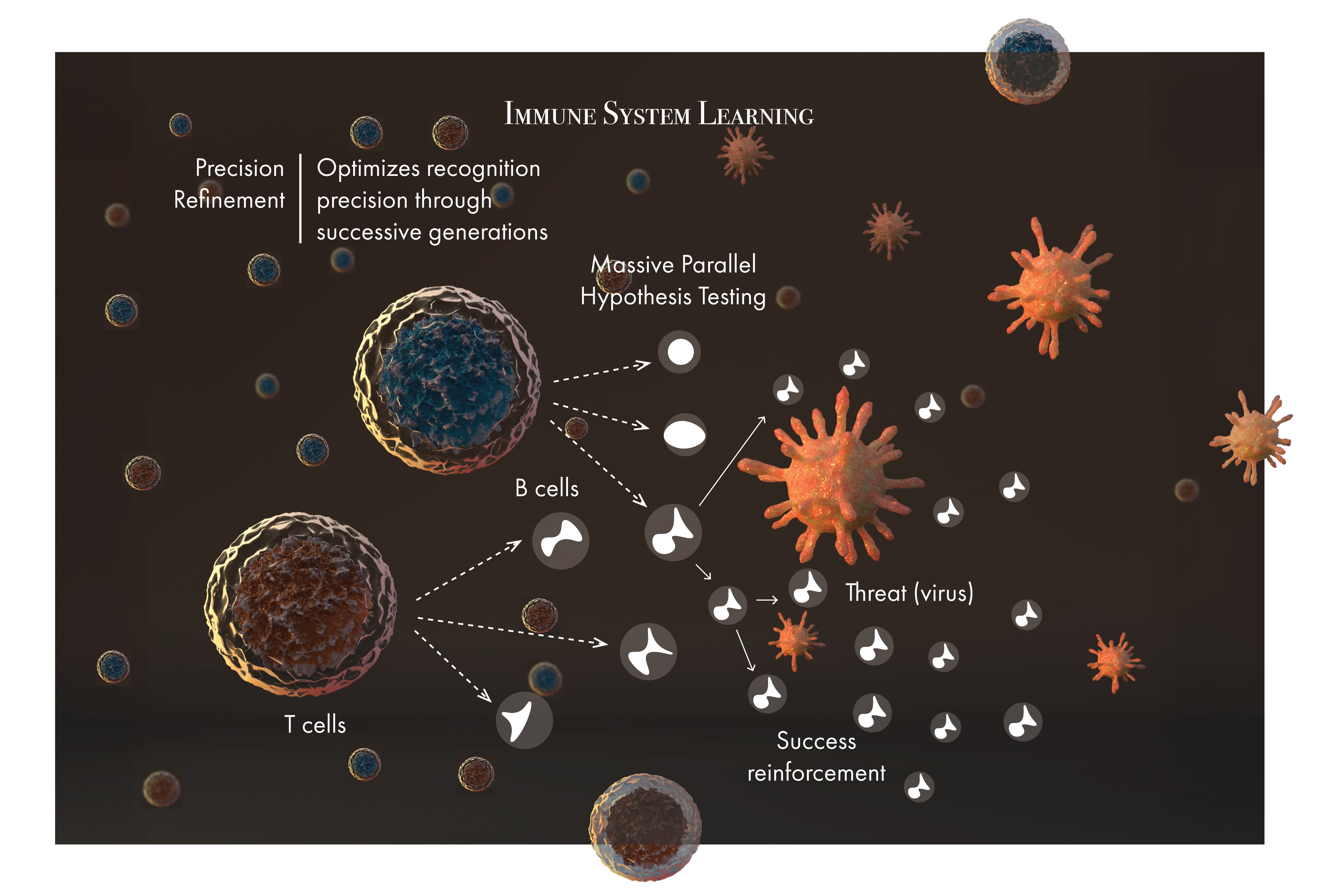 Immune System Learning