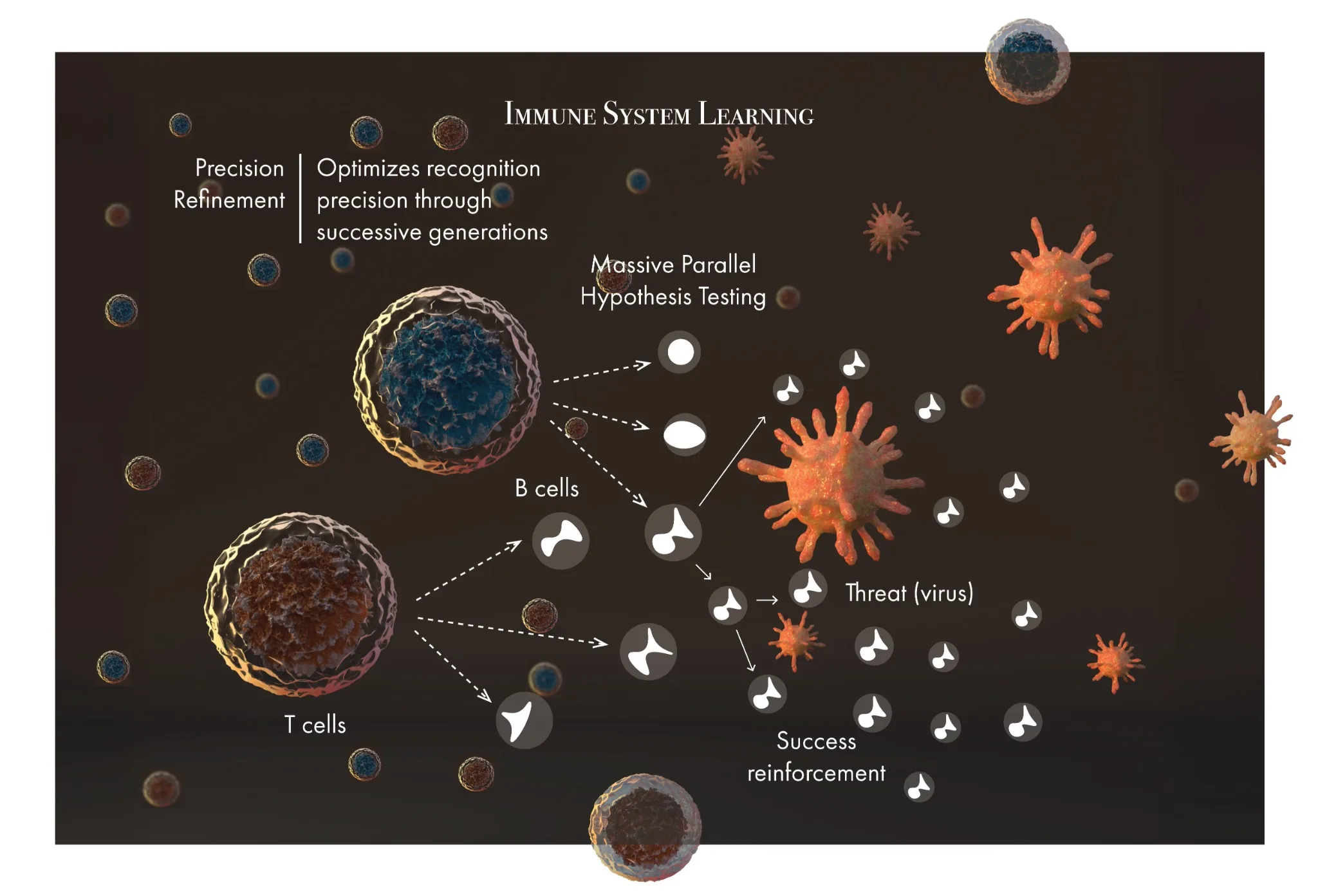 Immune System Learning