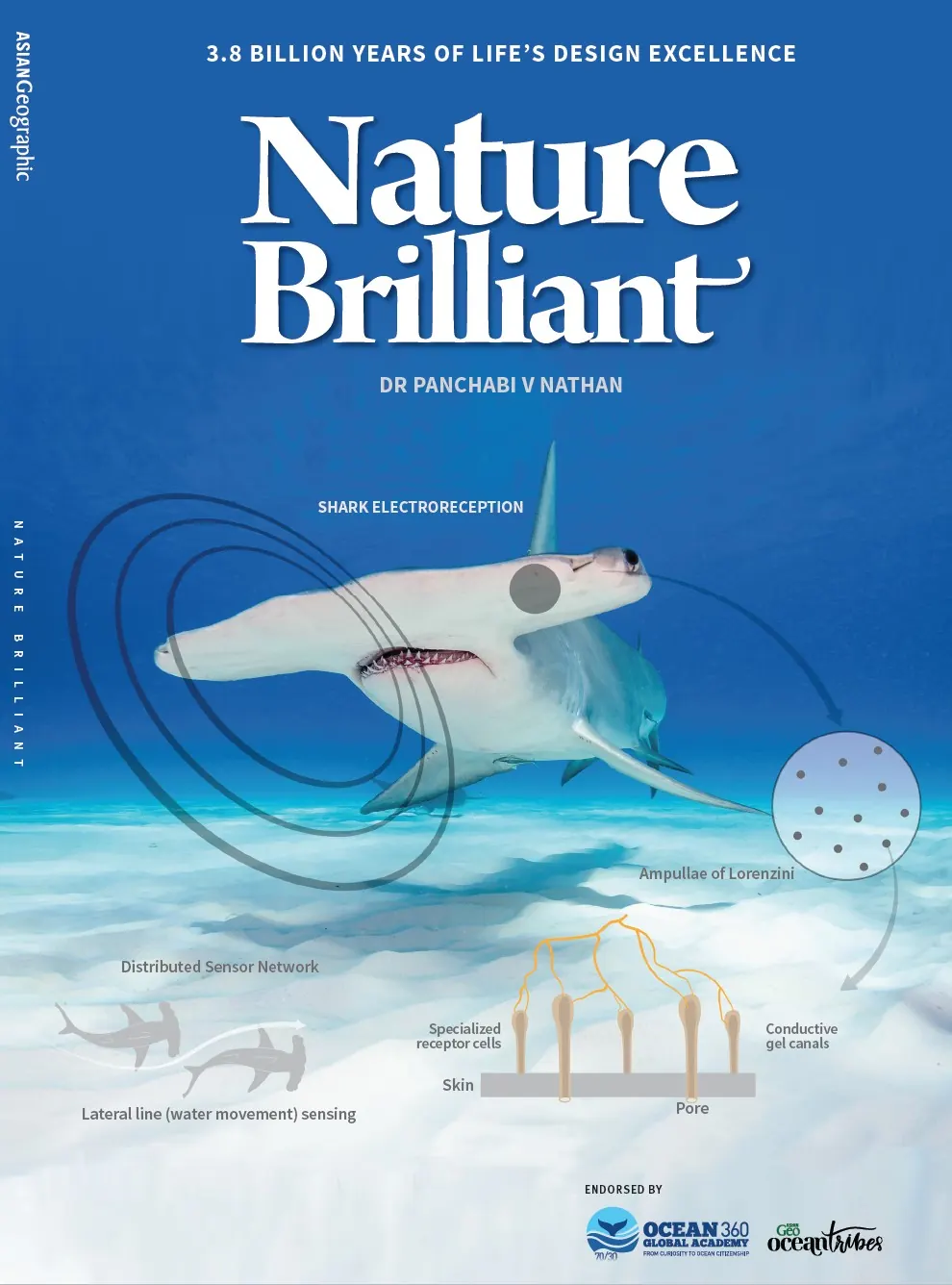 Nature Brilliant — by Dr. Panchabi V. Nathan, published by Asian Geographic